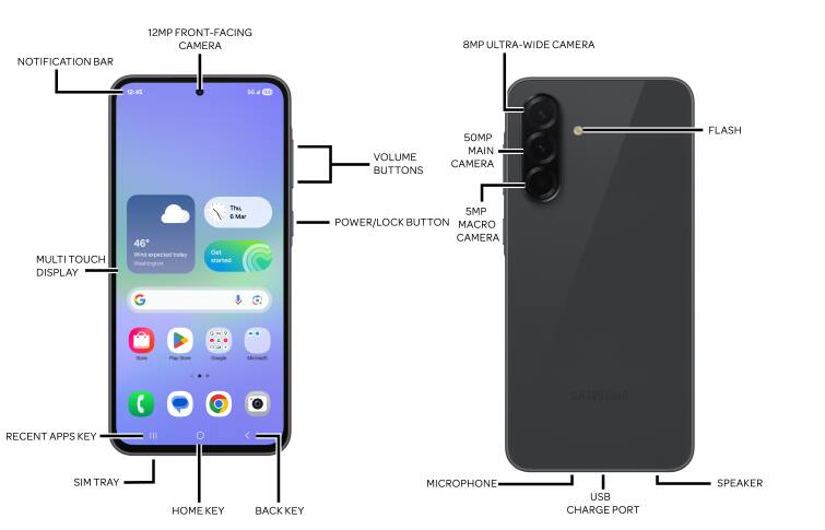 Device Diagram